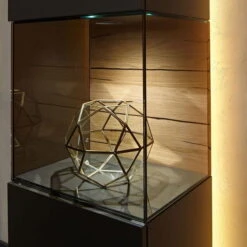 Hülsta Gentis Wohn-Kombi 7 - Akzent Naturstamm Inkl. LED-Beleuchtung Vitrine